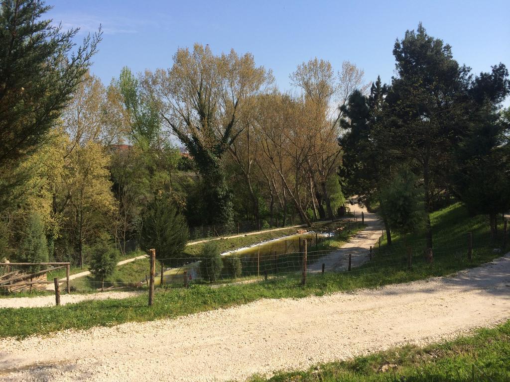 Hotel D.G. Garden Benewent Zewnętrze zdjęcie