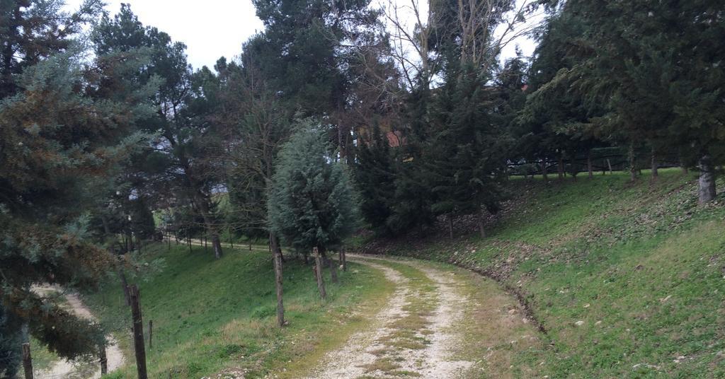 Hotel D.G. Garden Benewent Zewnętrze zdjęcie